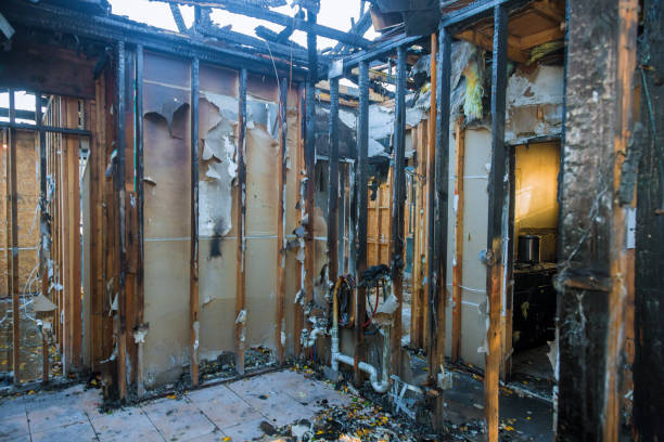 Professional Soot Cleanup technician working in Jackson, KY